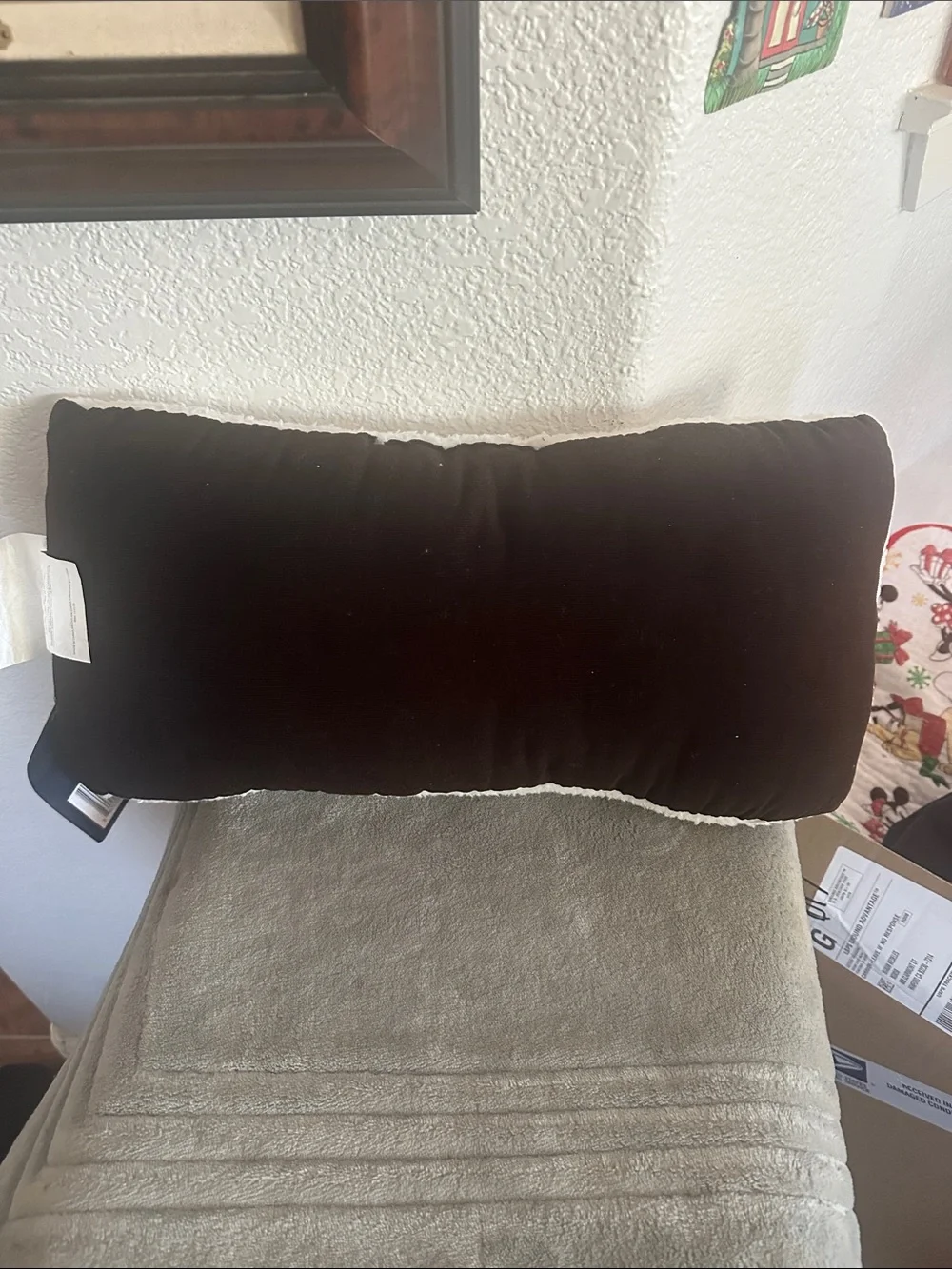 San Francisco 49ers HOME Pillow